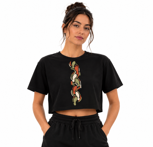 Cropped - Sistema de passadas